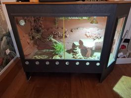 Terrarium