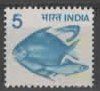 INDIA : blaue ZIERFISCHE   (19