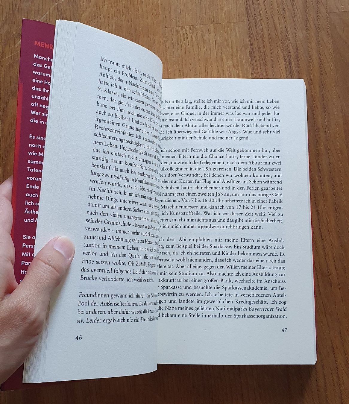 Libri: Buch Plötzlich Hochbegabt – Usato da Hagendorn venduto da happyclothing 2