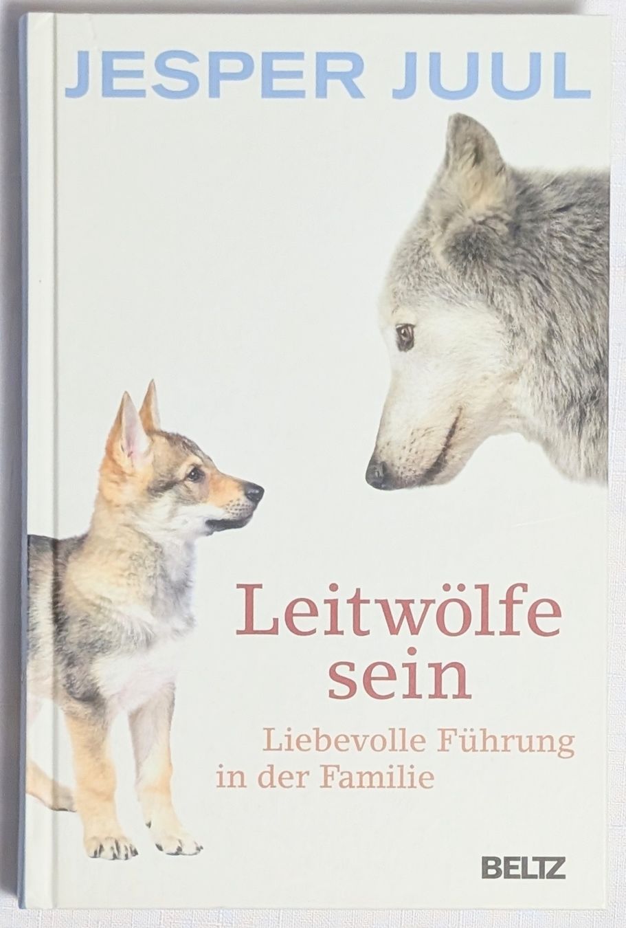 Libri: Leitwölfe sein - Jesper Juul – Nuovo (secondo la descrizione) da Wängi venduto da ABIZONE-86