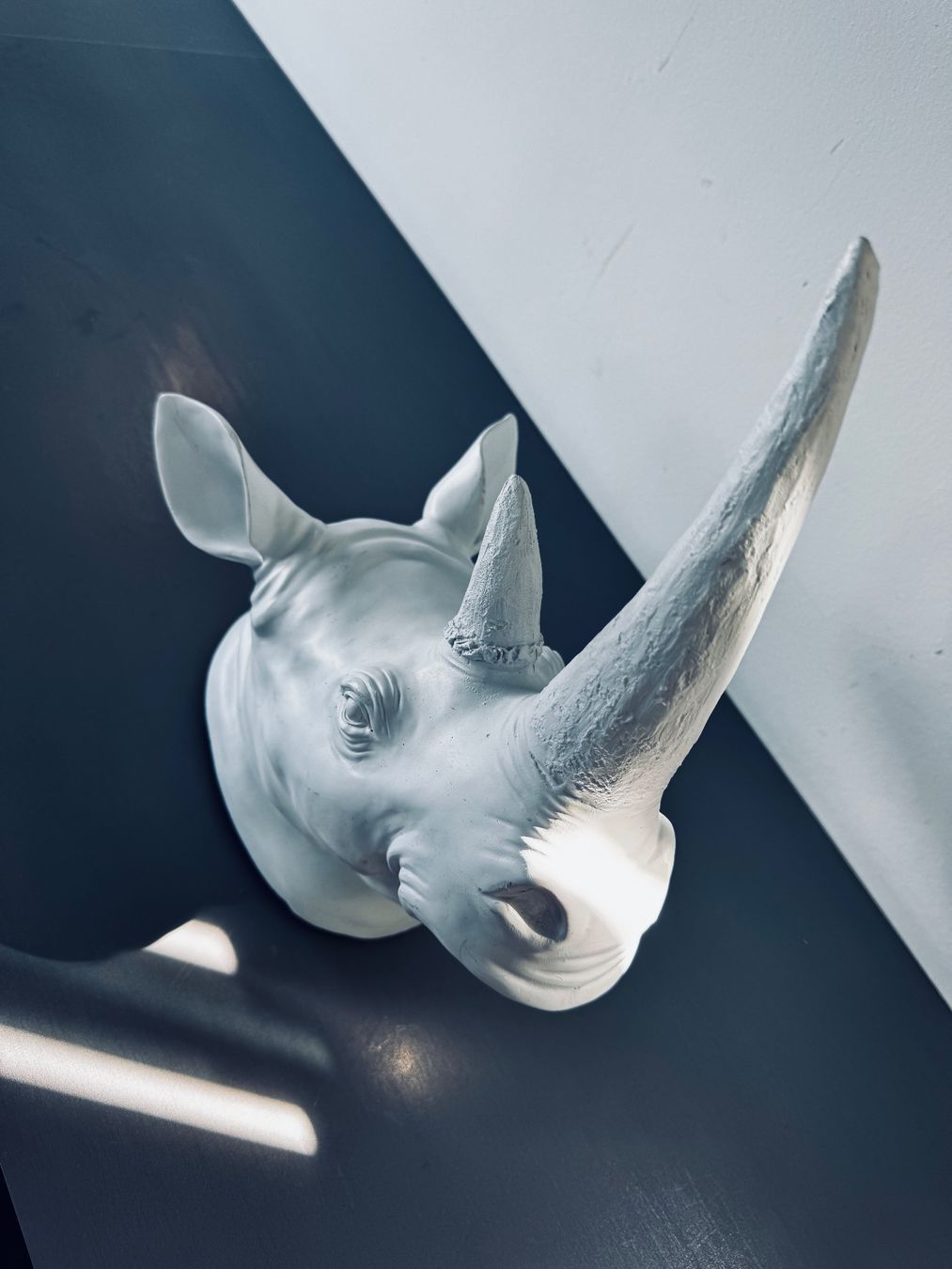 Alle Dekorationen: Wanddeko NASHORN – Gebraucht aus Heiden von Skaufkauf