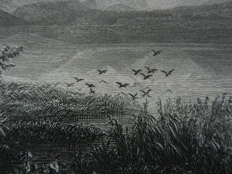 Incisioni: Zugersee von Cham aus – Usato da Risch venduto da Rischli15 8