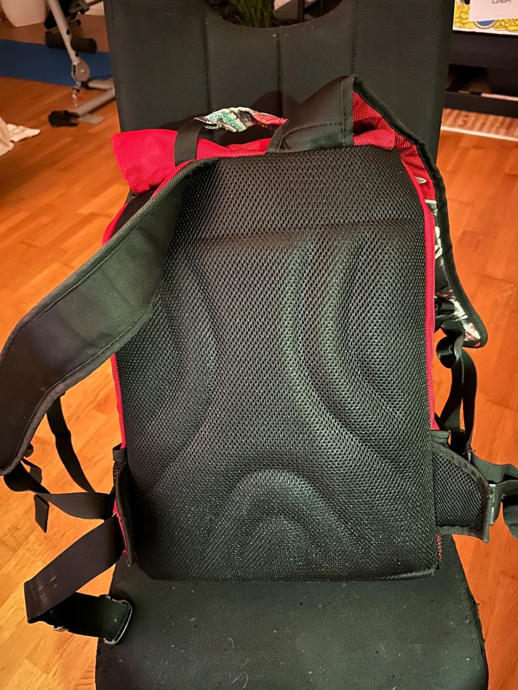 Racoon Sacs à dos: Racoon Rucksack mit Laptopfach – D'occasion à Rikon im Tösstal par sani.144 6