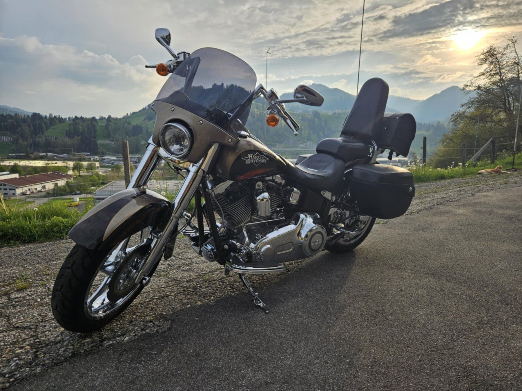 Harley-Davidson Altro: Harley-Davidson FLSTSE2 12000km – Usato da Ebnat-Kappel venduto da womolab 3