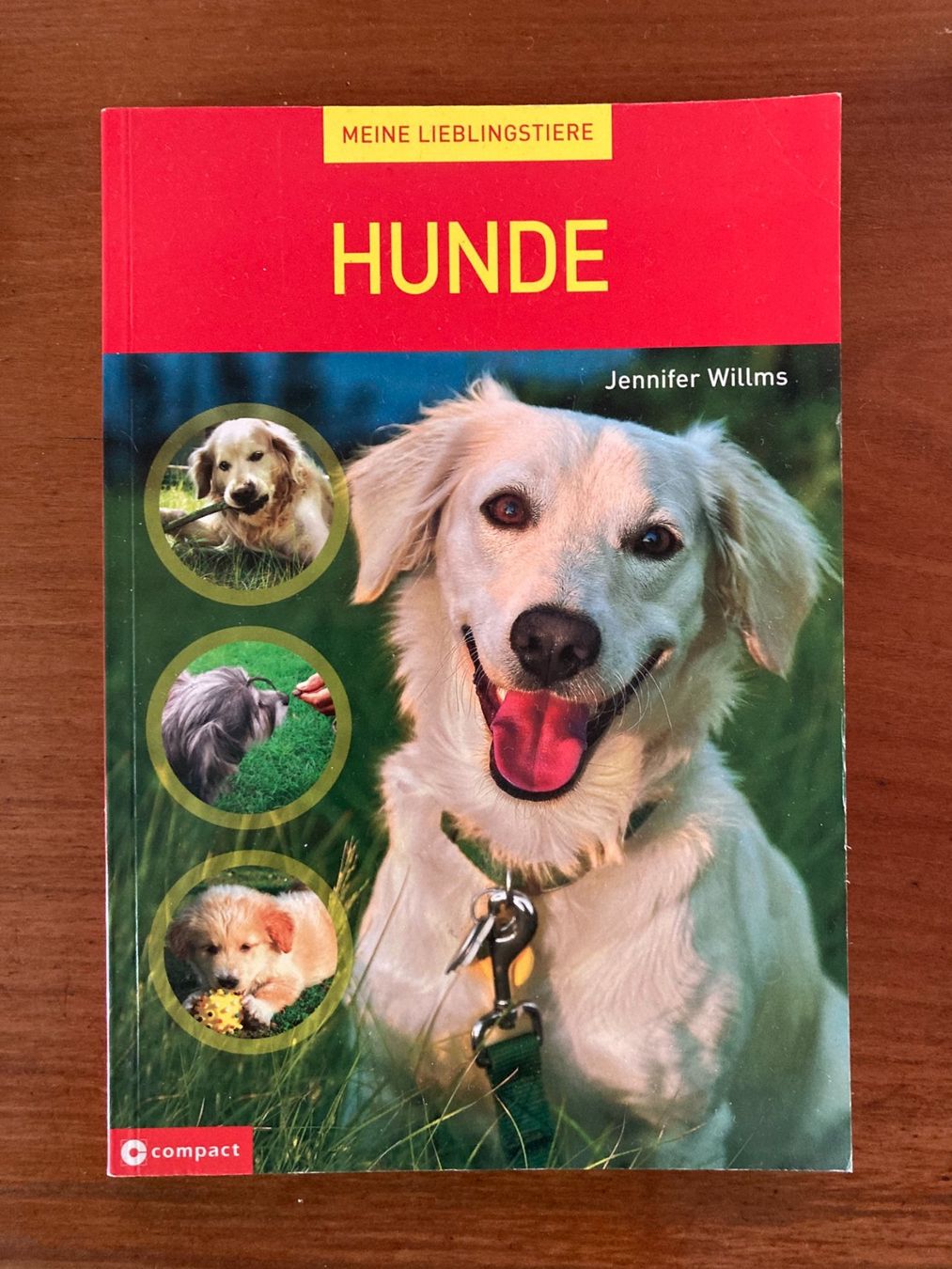 Libri: HUNDE   Sachbuch  von  Jennifer Willms – Usato da Subingen venduto da Etageren
