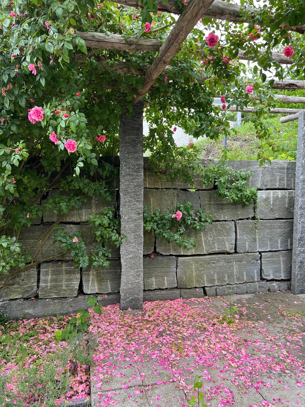 Pietre & tegole: Tessiner Pergola – Usato da Oberägeri venduto da cle_7fqt 2