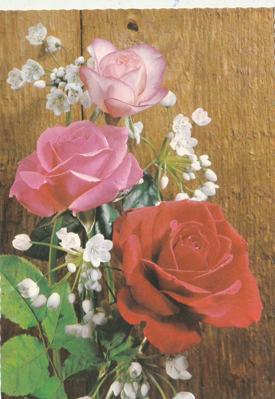 Cartoline postali: Blumenkarte – Usato da Lumbrein venduto da made02
