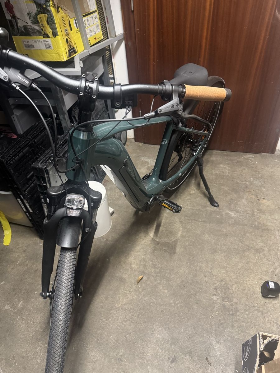 Biciclette: Vélo Électrique – Usato da Genève venduto da Arty02