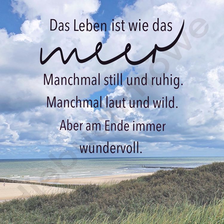 Spruch Meer Leben Digitale Datei für Poster Karten Kaufen auf Ricardo