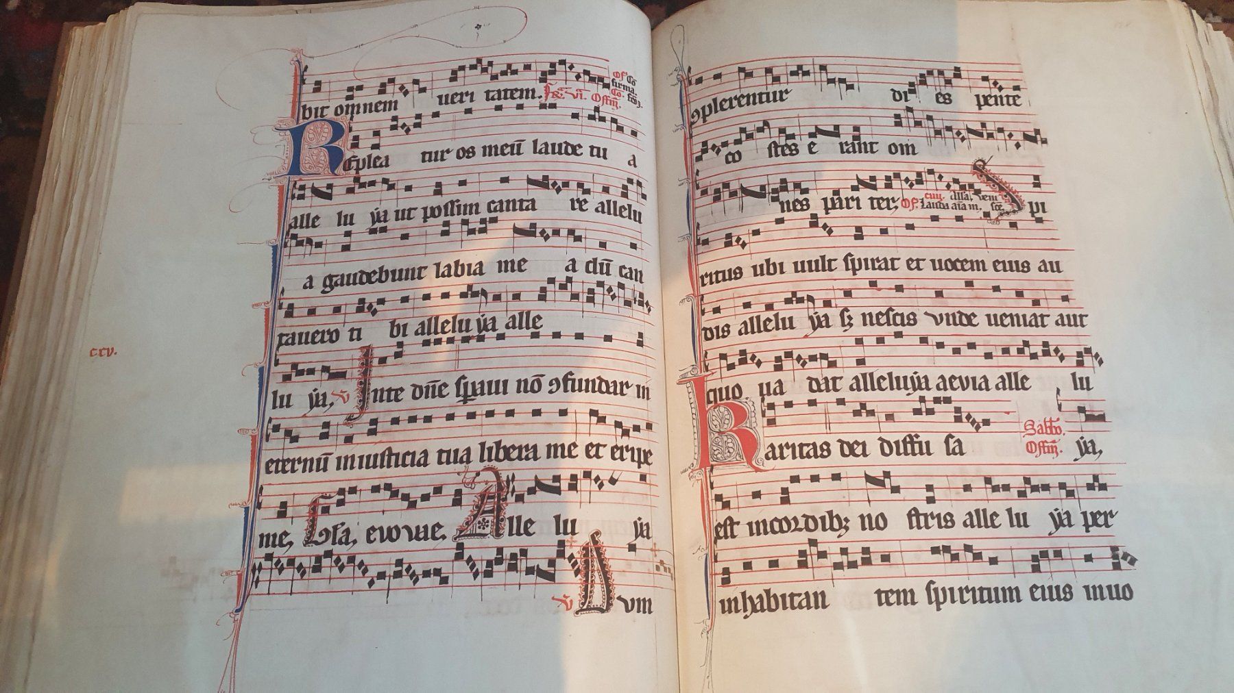 Libri: Das Graduale v. St. Katherinental Facsim – Usato da Fidaz venduto da KunstsammlerGR60 3