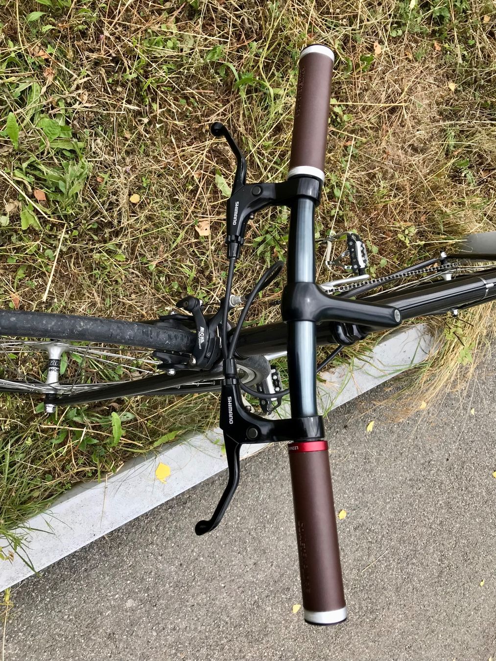 Velos: Gorilla hattara II / 55cm / Fixie / Singlespeed – Gebraucht aus Bern von  5