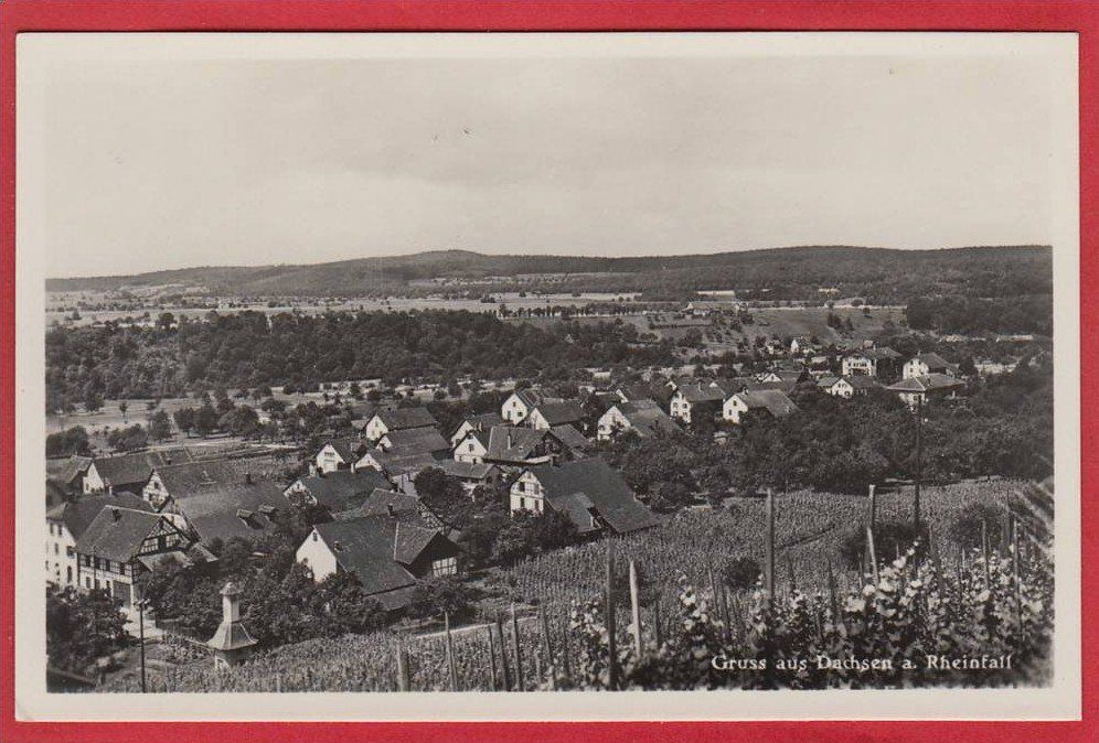 Ansichtskarten: DACHSEN, FOTOKARTE – Gebraucht aus Grüningen von Kartenlaube