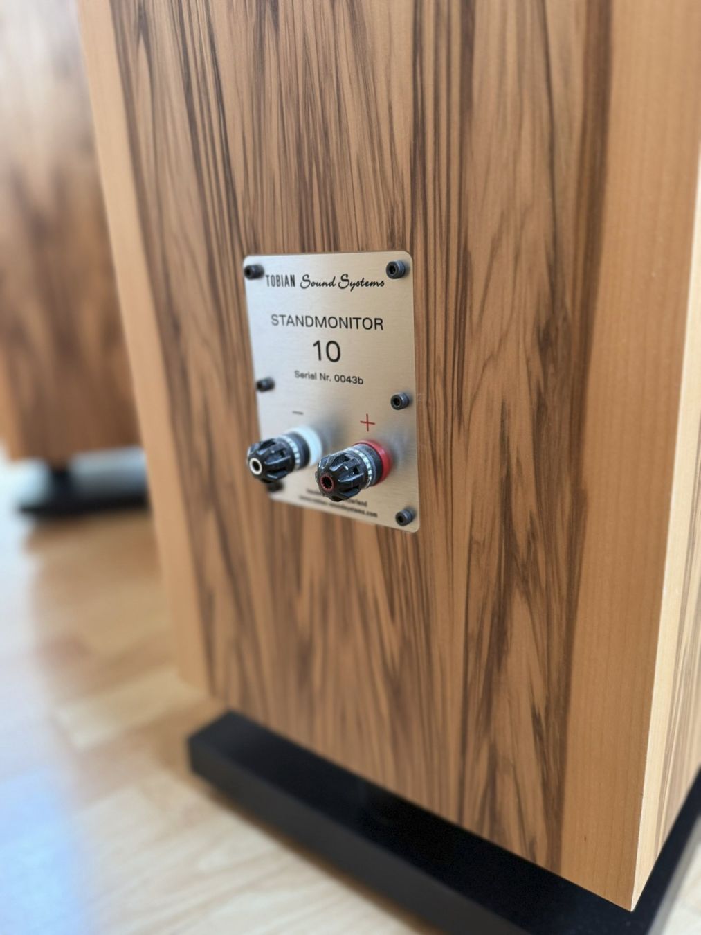 Casse acustiche: TOBIAN Sound Systems 10HC Lautsprecher – Usato da Lichtensteig venduto da Twalt 4