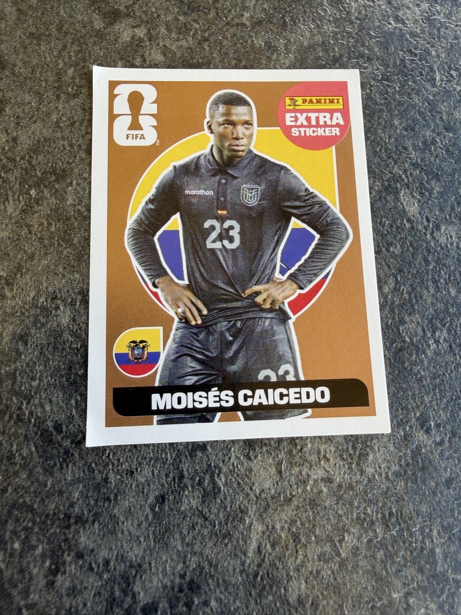 Panini Sammelbilder & Trading cards: 9 diverse Extra Sticker 5 Regular 3 Bronze 1 Gold – Neu (gemäss Beschreibung) aus Thayngen von ricarda82 5