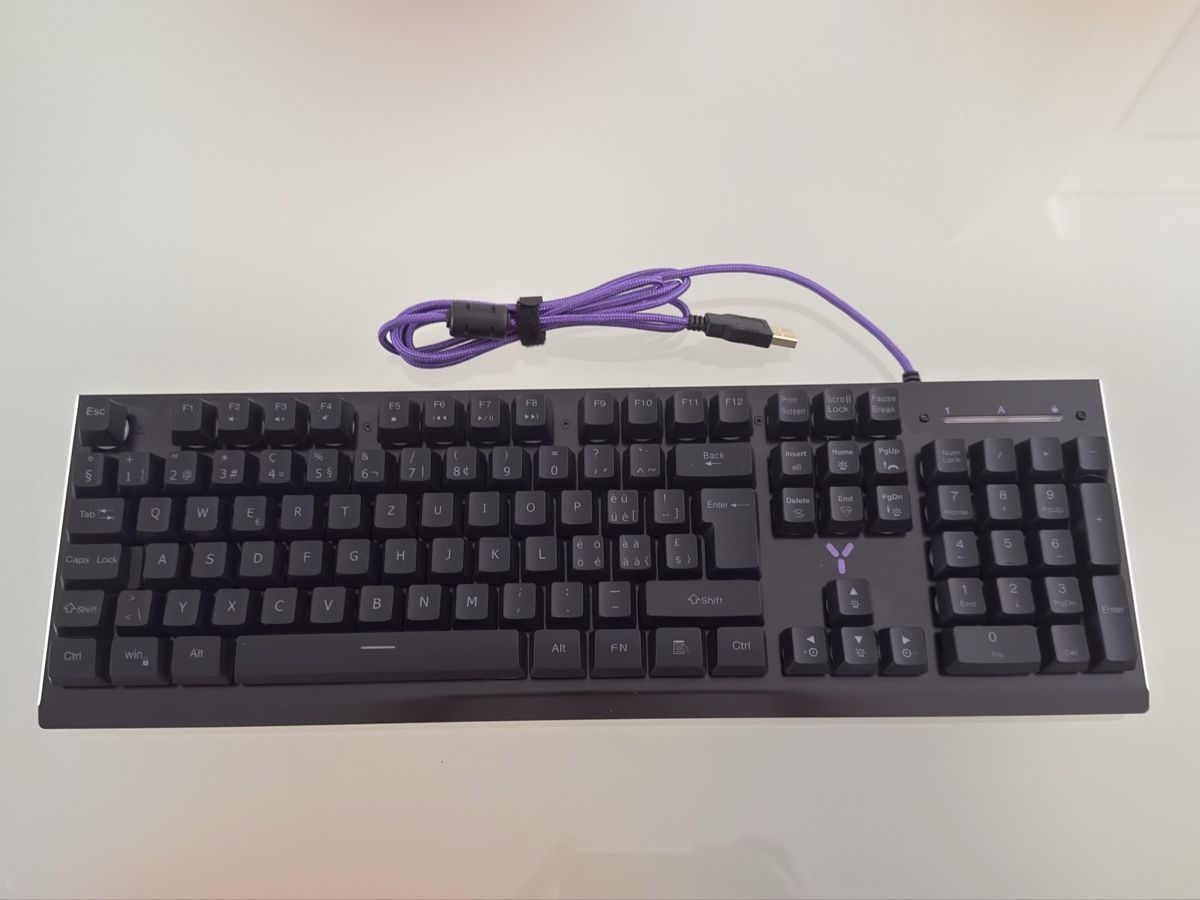 Tastiere: ISY Gaming Keyboard RGB – Usato da Cadenazzo venduto da nick995