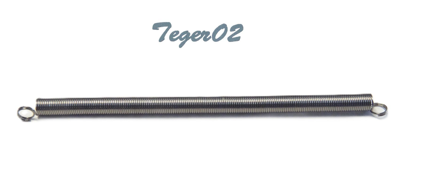 Märklin Modellini di ferrovie: Märklin H0 E765 540 Zugfeder 40mm – Nuovo (secondo la descrizione) da Hochdorf venduto da Teger02