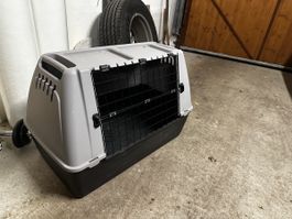 Bergamo Hundebox - Ideal für Reise & Transport!
