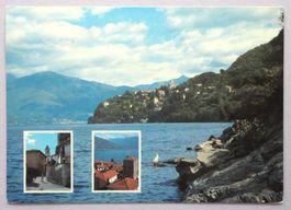 Pino Sulla Sponda Del Lago Maggiore (VA)