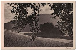 Schiers, Montagna (Mischol)