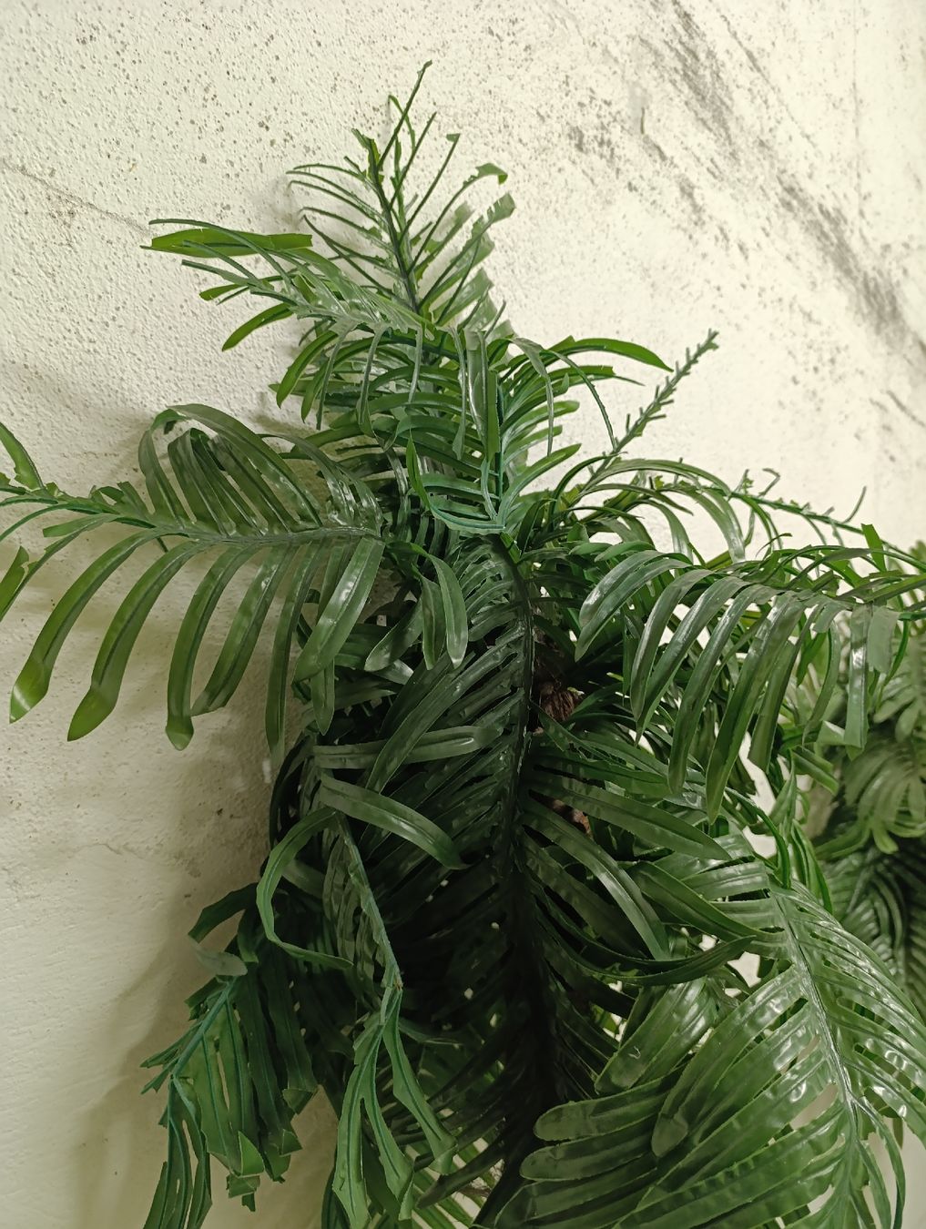 Toutes les décorations: Plastik Palme Deko – D'occasion à Romanshorn par dav_h2lv 2