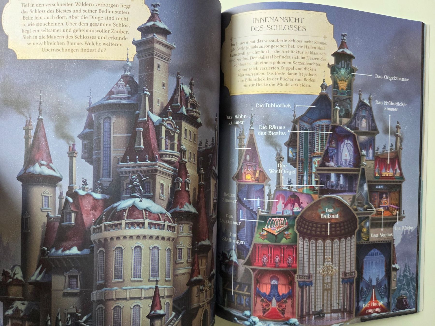 Libri: Malbuch Disney Prinzessinnen Schlösser – Nuovo (secondo la descrizione) da Aarau venduto da Allerlei1978 7