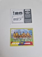 Panini Sticker ECU13