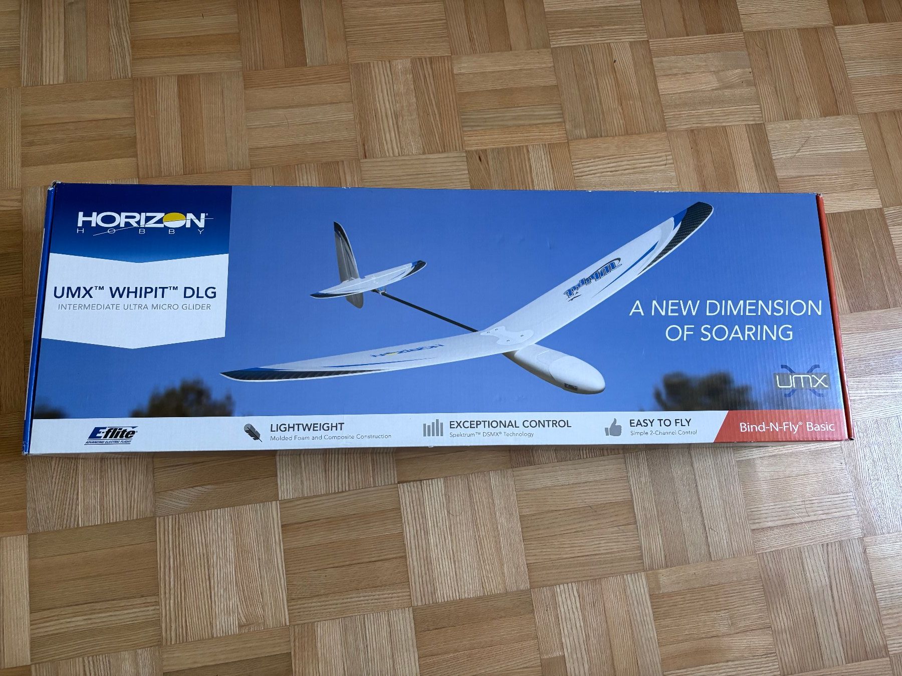 E-Flite Modellismo RC: E-Flite UMX Whipit DLG – Usato da Kirchlindach venduto da wam23