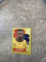 Panini RSA 11