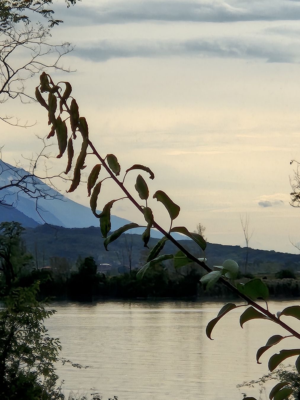 Foto & Immagini: Foto Trentino Südtirol – Nuovo e nell'imballaggio originale da Basel venduto da Shoppen