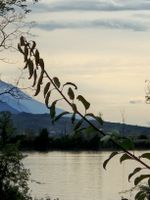 Foto Trentino Südtirol