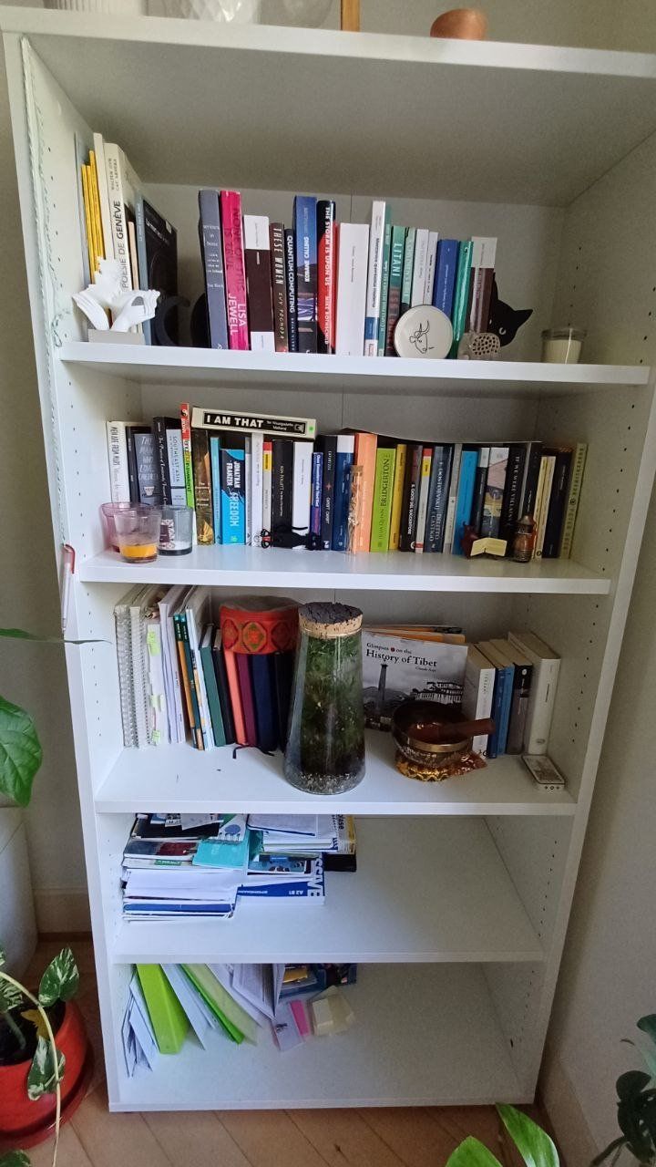 Étagères: Bookshelf - Étagère – D'occasion à Genève par fed_b2ys