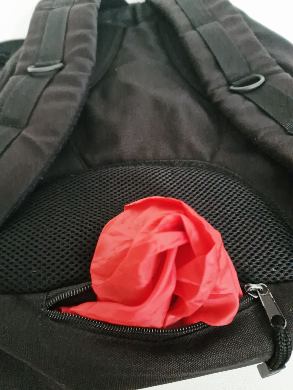 Zaini: Outdoor Rucksack Schwarz mit div. Fächern und Regenschuchtz – Usato da Hallau venduto da CHACLA 3