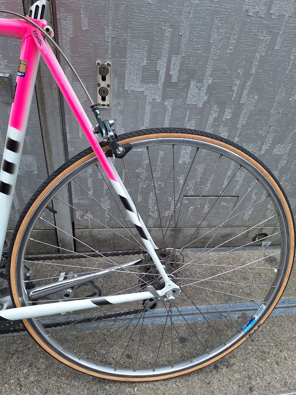 F. Moser Biciclette: Rennvelo – Usato da Tamins venduto da VW99 4