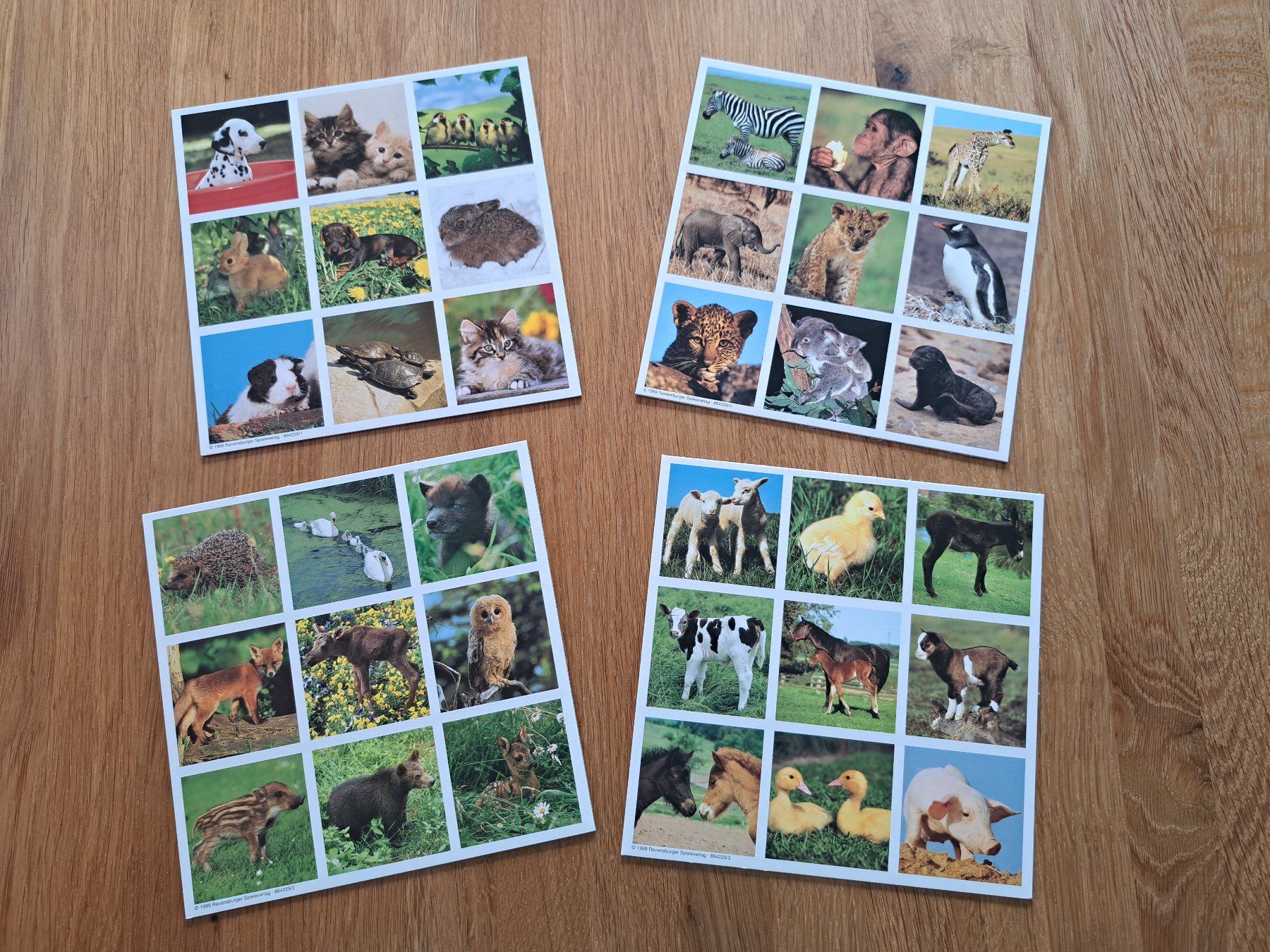 Ravensburger Jeux: Ravensburger "Tierbaby Lotto" – D'occasion à Untervaz par mei_6rrd 1