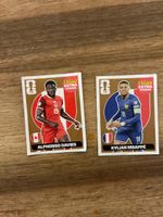 Extrasticker Panini Bronze