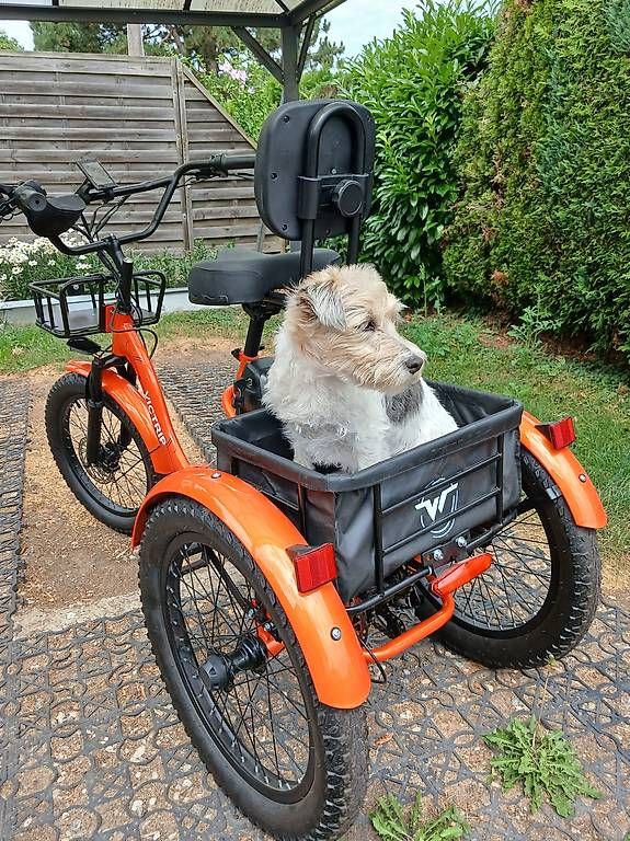 Veicoli per bambini: DREIRAD VELO – Usato da sitterdorf venduto da ren_ztp7