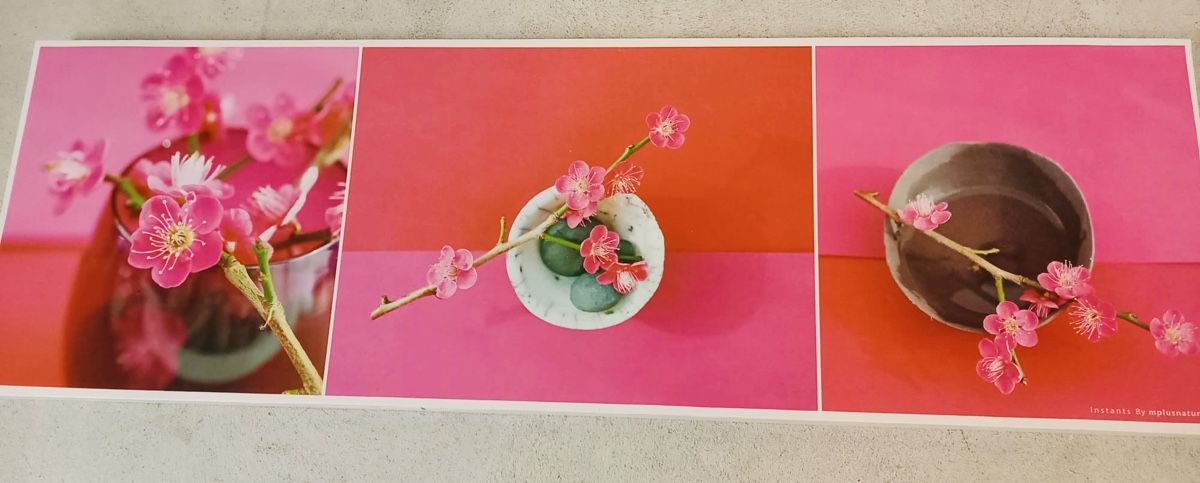 Foto & Immagini: Bild Pink – Usato da Seengen venduto da FDN8510