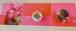 Bild Pink