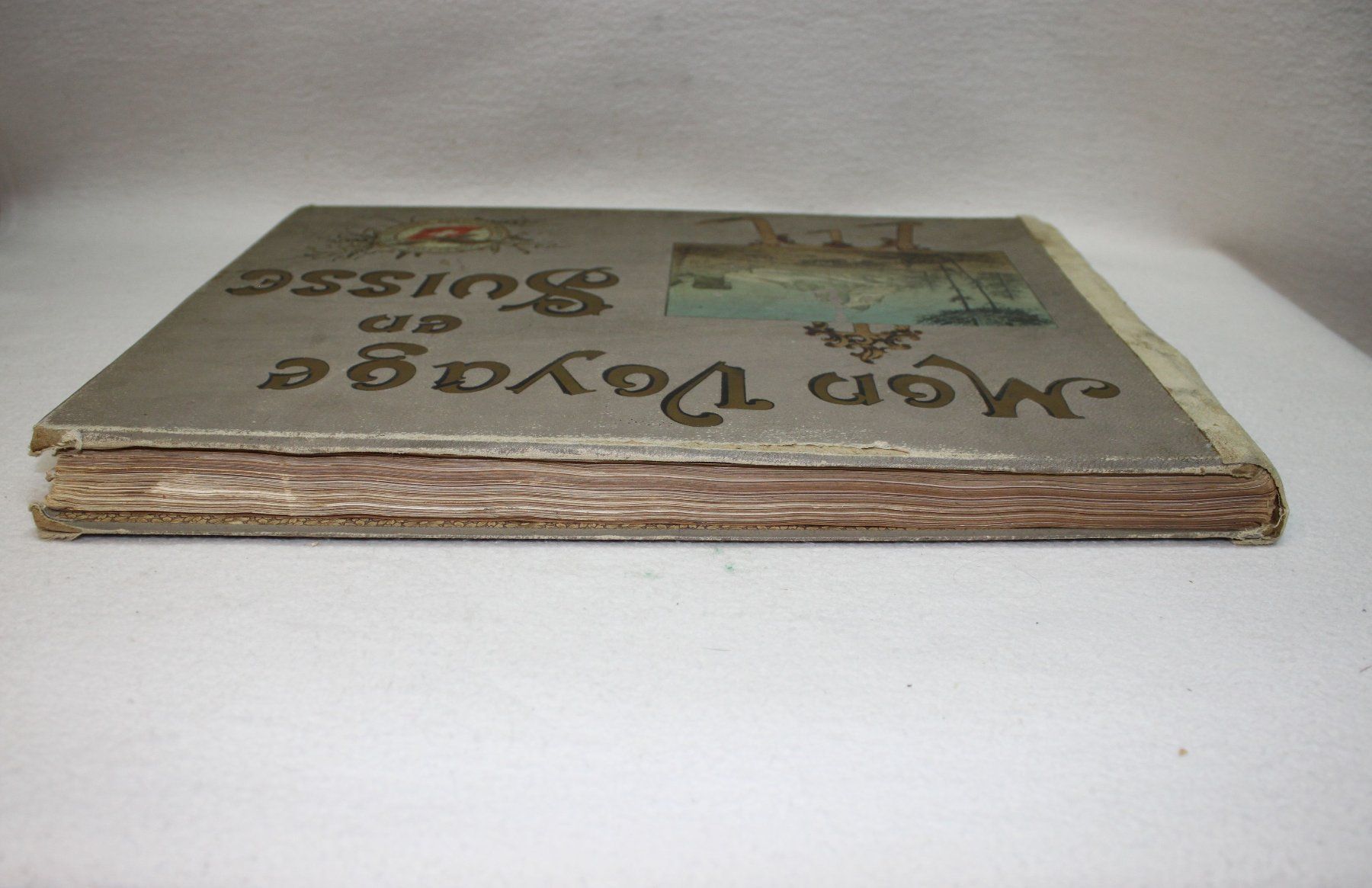Libri: Mod Voyage en Suisse – Usato da Thun venduto da Fbchm 5