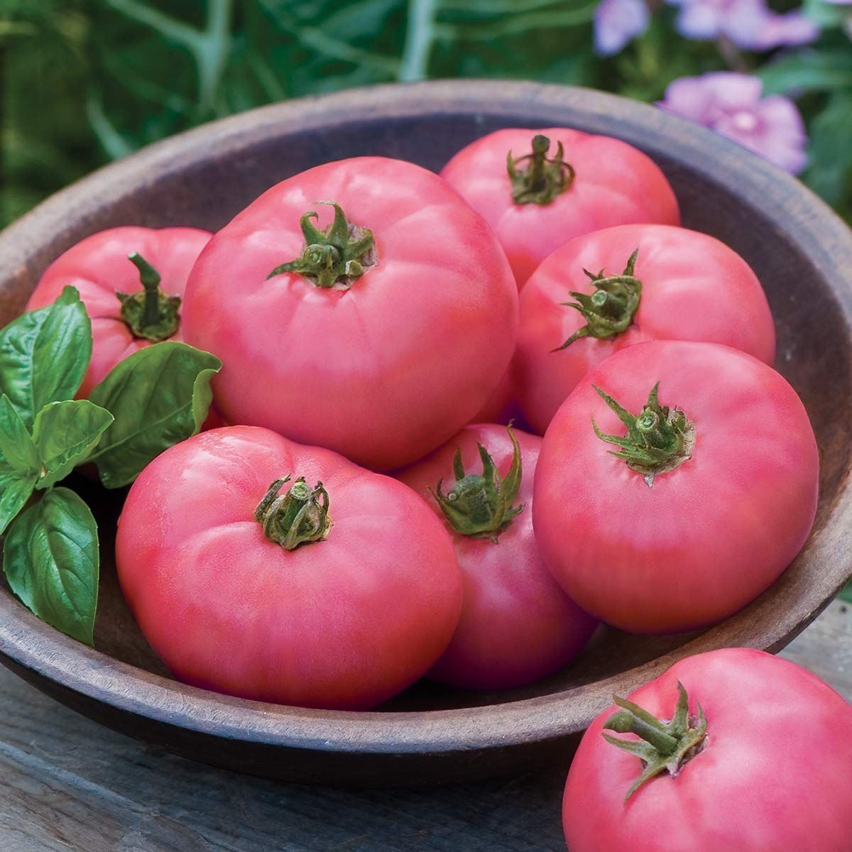 Pflanzen & Samen: 30 Samen BERNER ROSE Tomate – Neu (gemäss Beschreibung) aus Ehrendingen von VerveinaSamen 3