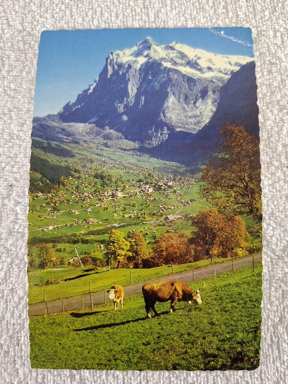 Cartoline postali: Ansichtskarten Grindelwald Nr.2 – Usato da Grindelwald venduto da carro5 5