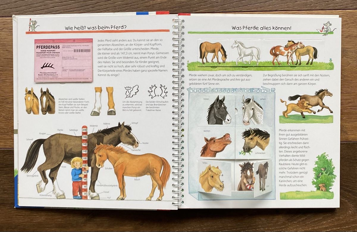 Libri: Bilderbuch Pferde & Ponys – Usato da Pfäffikon ZH venduto da aveo14 2