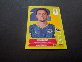 Panini Fifa Fussball WM 2026 Sticker Amar Dedić BIH 3