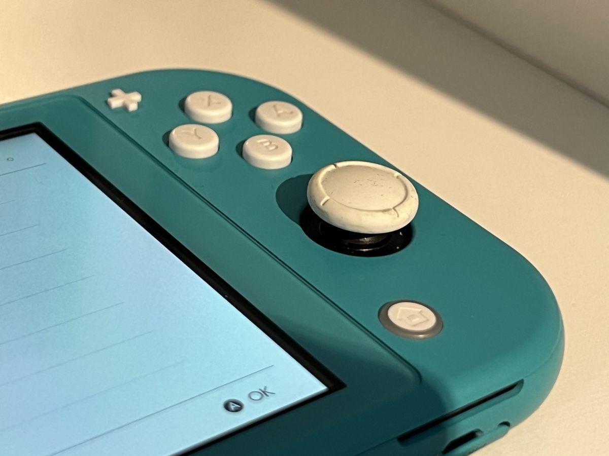 Nintendo Console: Switch Lite - Wie Neu – Usato da Zürich venduto da rg_swiss 1