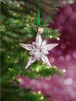 Swarovski Weihnachtsstern Ornament - Sammlung 1991-2020
