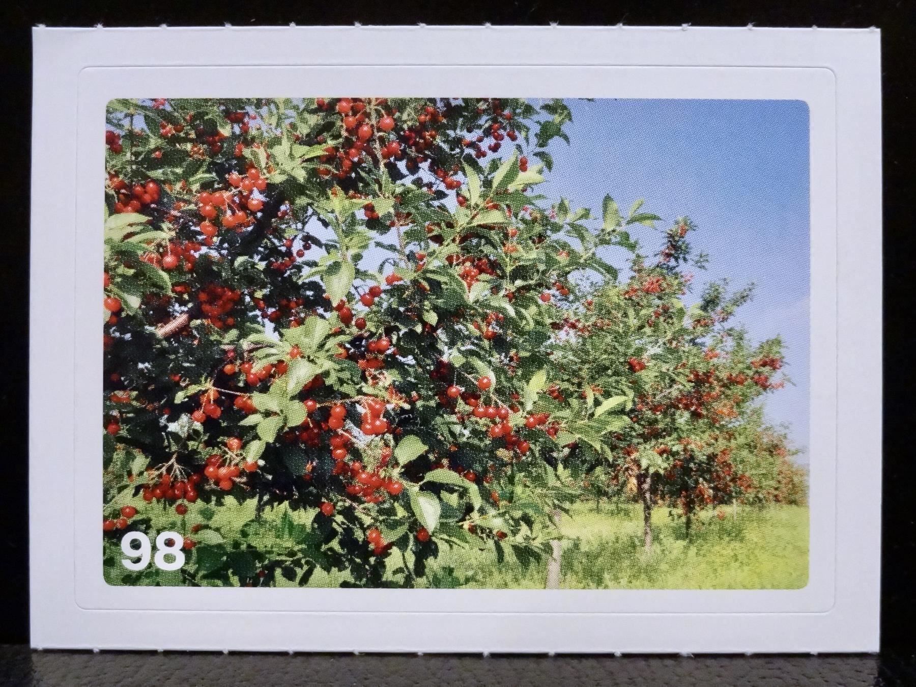 Migros Sammelbilder & Trading cards: MIGROS MANIA Nature Detectives Nr. 98 – Gebraucht aus Kerzers von zimmergruen