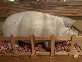 Sparschwein