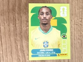 Panini Sticker FIFA World Cup 2026 Joao Pedro Panini BRA 16