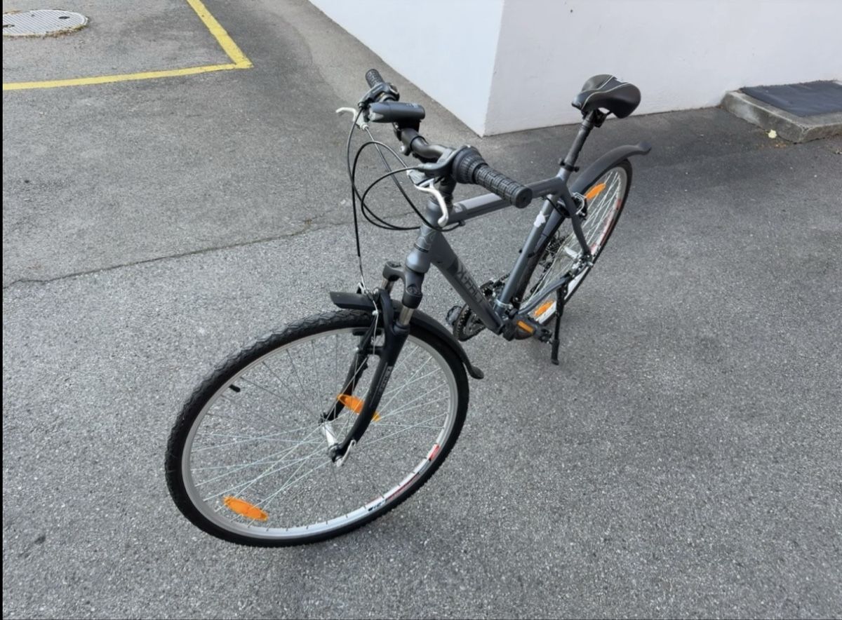 Biciclette: Herren-CITYBIKE – Usato da Rebstein venduto da dijana_crgc 2