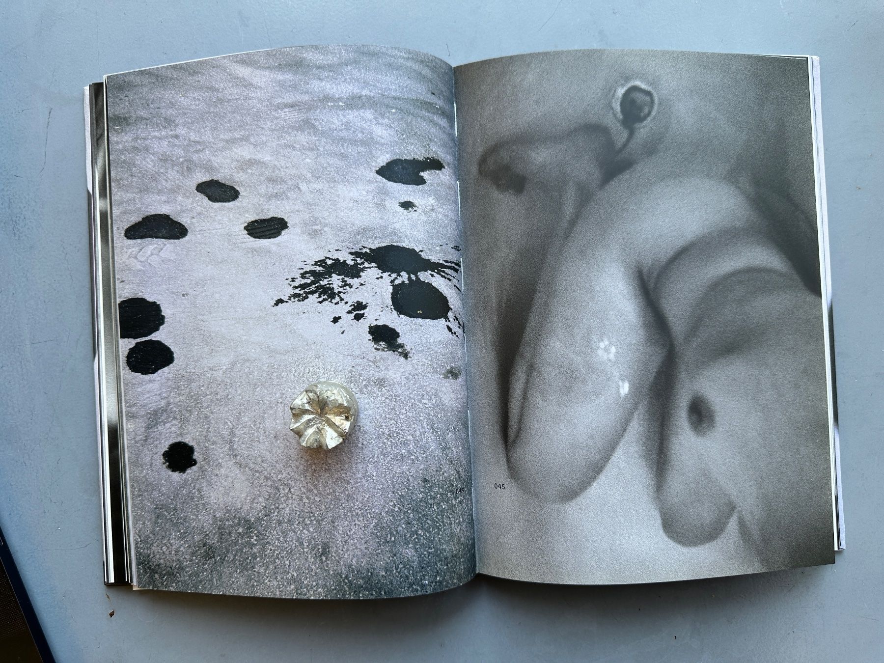 Libri: Marianne Mueller: The Proper Ornaments. – Usato da Zürich venduto da allp 6